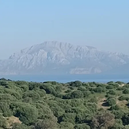 La Ballenita De Tarifa