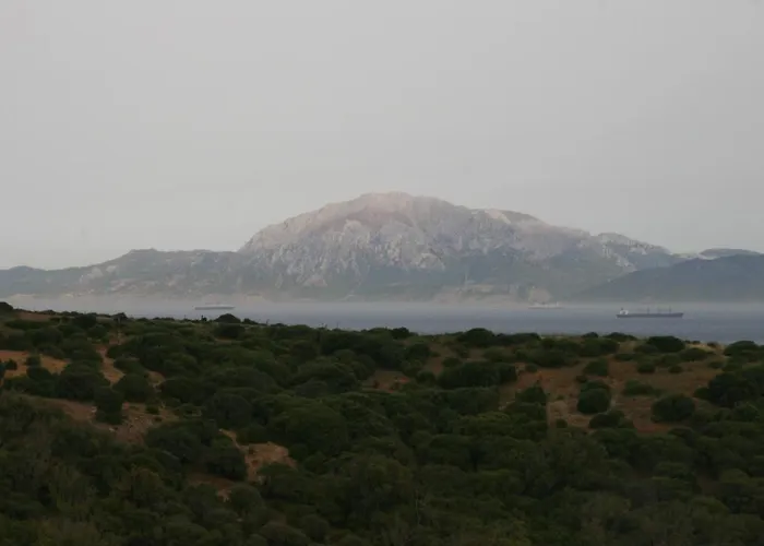 La Ballenita De * Tarifa