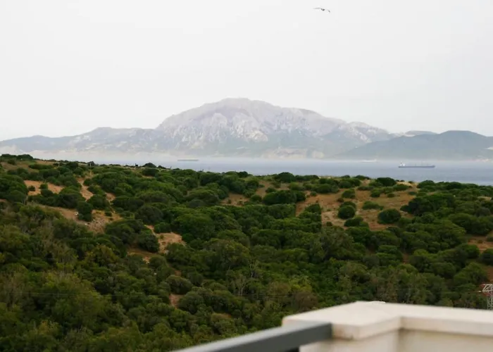 La Ballenita De Daire Tarifa